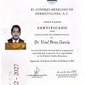 Ampliar imagen: certificate 2