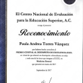 Ampliar imagen: certificate 5