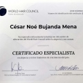 Ampliar imagen: certificate 5