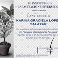 Ampliar imagen: certificate 6