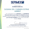 Ampliar imagen: certificate 5