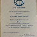 Ampliar imagen: certificate 10