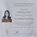 Ampliar imagen: certificate 1