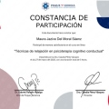 Ampliar imagen: certificate 11