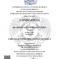 Ampliar imagen: certificate 8