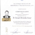 Ampliar imagen: certificate 1