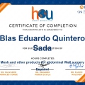 Ampliar imagen: certificate 5