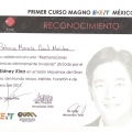 Ampliar imagen: certificate 3