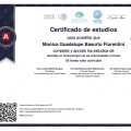 Ampliar imagen: certificate 4