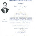 Ampliar imagen: certificate 6