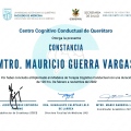 Ampliar imagen: certificate 6