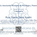 Ampliar imagen: certificate 8