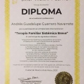 Ampliar imagen: certificate 3