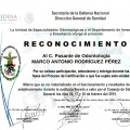 Ampliar imagen: certificate 23