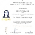 Ampliar imagen: certificate 5