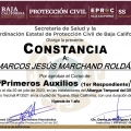 Ampliar imagen: certificate 14
