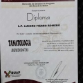 Ampliar imagen: certificate 9