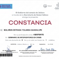 Ampliar imagen: certificate 19