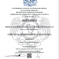 Ampliar imagen: certificate 3
