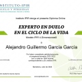 Ampliar imagen: certificate 6