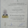 Ampliar imagen: certificate 3