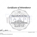 Ampliar imagen: certificate 8
