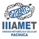 Instituto Internacional de Investigación Aplicada Al Metabolismo | Unidad Metabólica Celular Pachuca