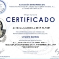Ampliar imagen: certificate 4