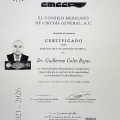 Ampliar imagen: certificate 2