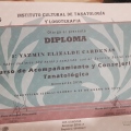 Ampliar imagen: certificate 5