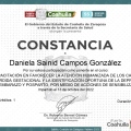 Ampliar imagen: certificate 12