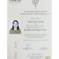 Ampliar imagen: certificate 3