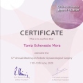 Ampliar imagen: certificate 6