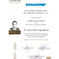 Ampliar imagen: certificate 2