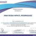 Ampliar imagen: certificate 7