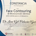 Ampliar imagen: certificate 4