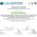 Ampliar imagen: certificate 31