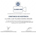 Ampliar imagen: certificate 17