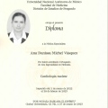 Ampliar imagen: certificate 5