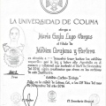 Ampliar imagen: certificate 3