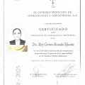 Ampliar imagen: certificate 1