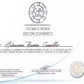 Ampliar imagen: certificate 15