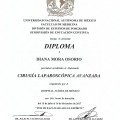 Ampliar imagen: certificate 3