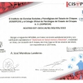 Ampliar imagen: certificate 5