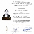 Ampliar imagen: certificate 1