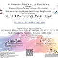 Ampliar imagen: certificate 3