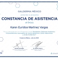 Ampliar imagen: certificate 4