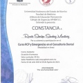 Ampliar imagen: certificate 3