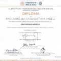 Ampliar imagen: certificate 5