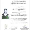 Ampliar imagen: certificate 3